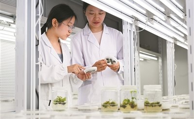 新農科建設，項目實踐走向鄉村大地